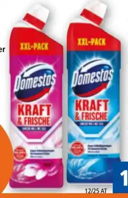 Norma Domestos WC Gel Angebot