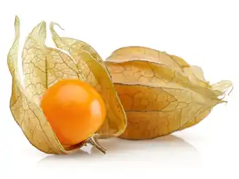 Lidl Physalis Lidl Angebot