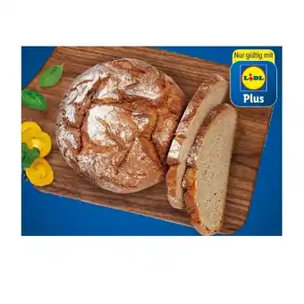 Lidl Krustenlaib Lidl APP Preis Angebot