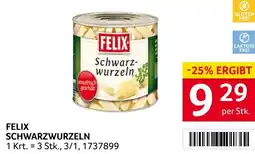 Transgourmet Schwarzwurzeln Angebot