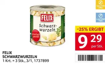 Transgourmet Schwarzwurzeln Angebot