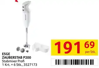 Transgourmet Esge zauberstab P200 Angebot