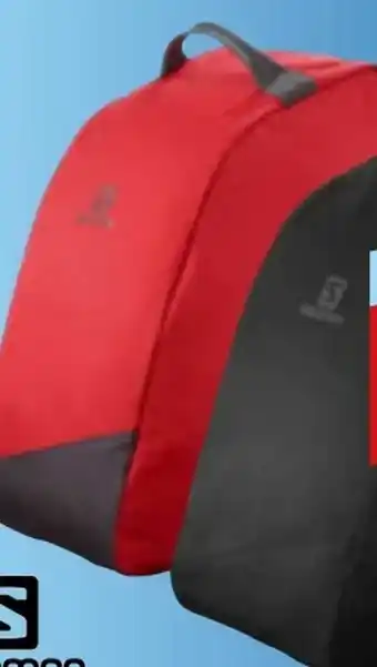 Hervis Skischuhtasche Angebot