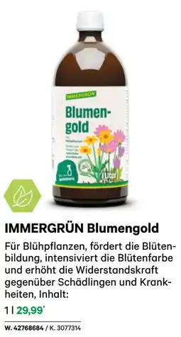 BayWa IMMERGRÜN Blumengold Angebot