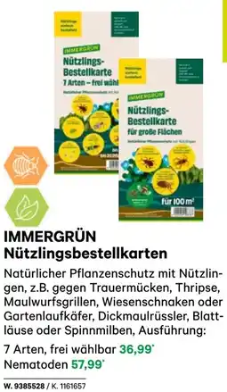 BayWa IMMERGRÜN Nützlingsbestellkarten Angebot