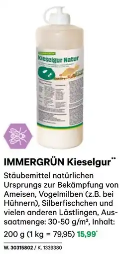 BayWa IMMERGRÜN Kieselgur Angebot