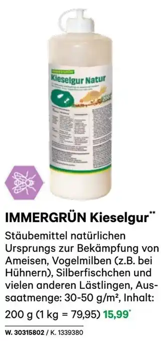 BayWa IMMERGRÜN Kieselgur Angebot