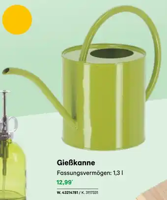 BayWa Gießkanne Angebot