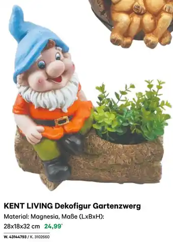 BayWa Dekofigur Gartenzwerg Angebot