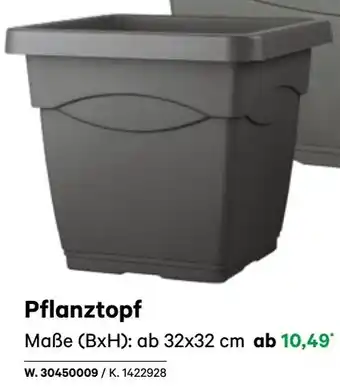 BayWa Pflanztopf Angebot