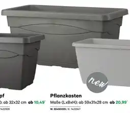 BayWa Pflanzkasten Angebot