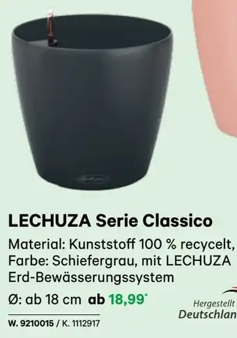 BayWa LECHUZA Serie Classico Angebot