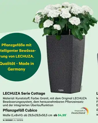 BayWa LECHUZA Serie Cottage Angebot