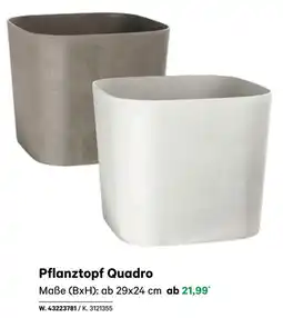 BayWa Pflanztopf Quadro Angebot