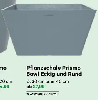 BayWa Pflanzschale Prismo Bowl Eckig und Rund Angebot