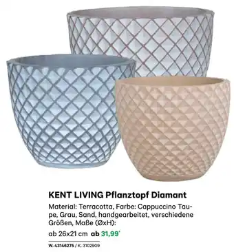 BayWa KENT LIVING Pflanztopf Diamant Angebot