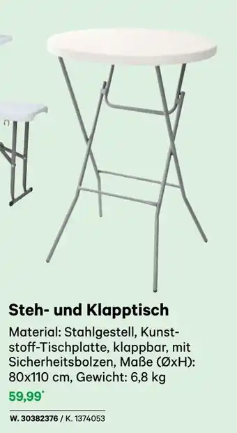 BayWa Steh- und Klapptisch Angebot