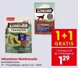 Interspar Purina Adventuros Hundesnacks Angebot