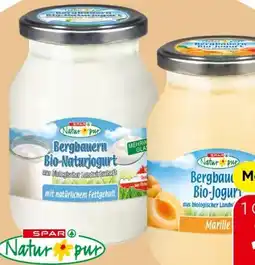 Eurospar Spar Natur pur Bergbauern Bio-Fruchtjogurt Angebot