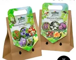 Dehner Dehner Natura Blumenzwiebel-Mischung Bienen-Garten Angebot