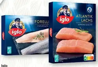 SPAR Gourmet Iglo Dorsch Angebot