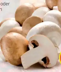 Hofer Hofer Marktplatz Champignons Angebot