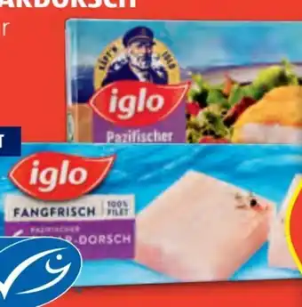 Hofer Iglo Polardorsch Angebot