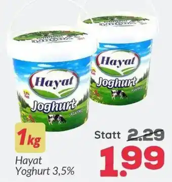 ETSAN Hayat Yoghurt 3,5% Angebot