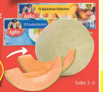 Hofer Zuckermelone cantaloupe Angebot