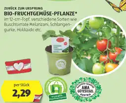 Hofer Bio-fruchtgemüse-pflanze Angebot