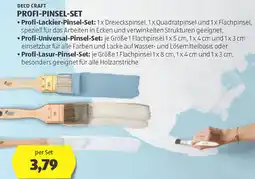 Hofer Deco craft profi-pinsel-set Angebot