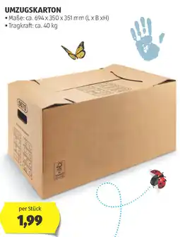 Hofer Umzugskarton Angebot