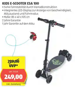 Hofer Kids e-scooter esa 100 Angebot