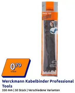 Action Werckmann Kabelbinder Professional Tools Angebot