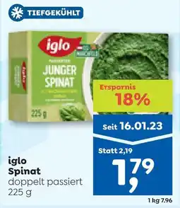 ADEG Iglo spinat Angebot