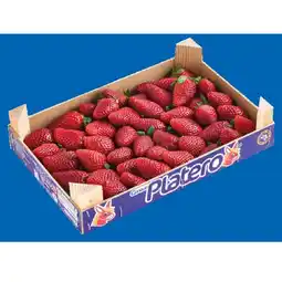 T&G Erdbeeren T&G Angebot