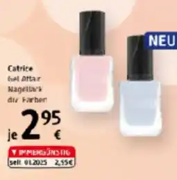 dm Catrice Angebot