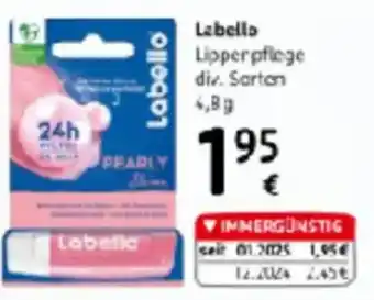 dm Labello Angebot