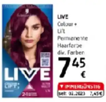 dm Live Angebot