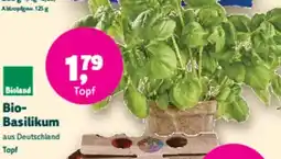 Denn's Biomarkt Bio- Basilikum Angebot