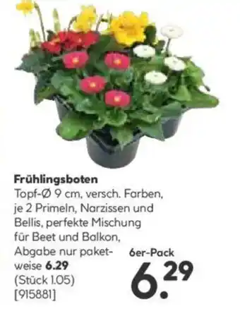 Hellweg Frühlingsboten Angebot