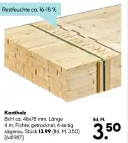 Hellweg Kantholz Angebot