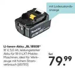 Hellweg Li-Ionen-Akku BL 1850B Angebot