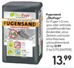 Hellweg Fugensand ÖkoFuge Angebot