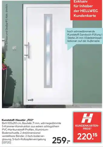 Hellweg Kunststoff-Haustür Angebot