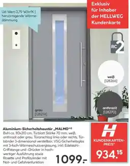 Hellweg Aluminium-Sicherheitshaustür MALMO Angebot