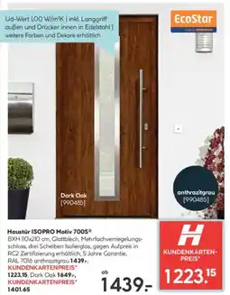 Hellweg Haustür ISOPRO Motiv 700S Angebot