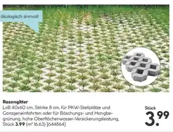 Hellweg Rasengitter Angebot