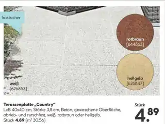 Hellweg Terassenplatte Country Angebot