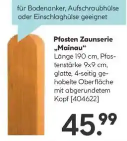 Hellweg Pfosten Zaunserie Mainau Angebot